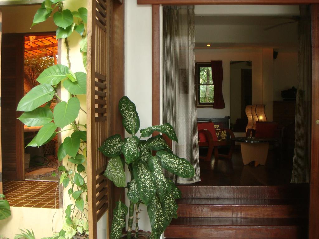 La Cigale Bed & Breakfast Ko Tao Bilik gambar